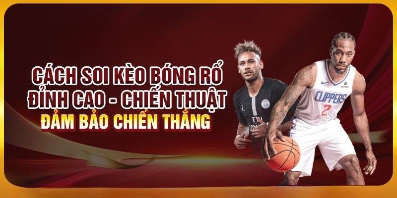 Nội dung khái quát chung về loại hình soi kèo bóng rổ