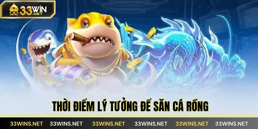 Thời điểm lý tưởng để săn cá rồng